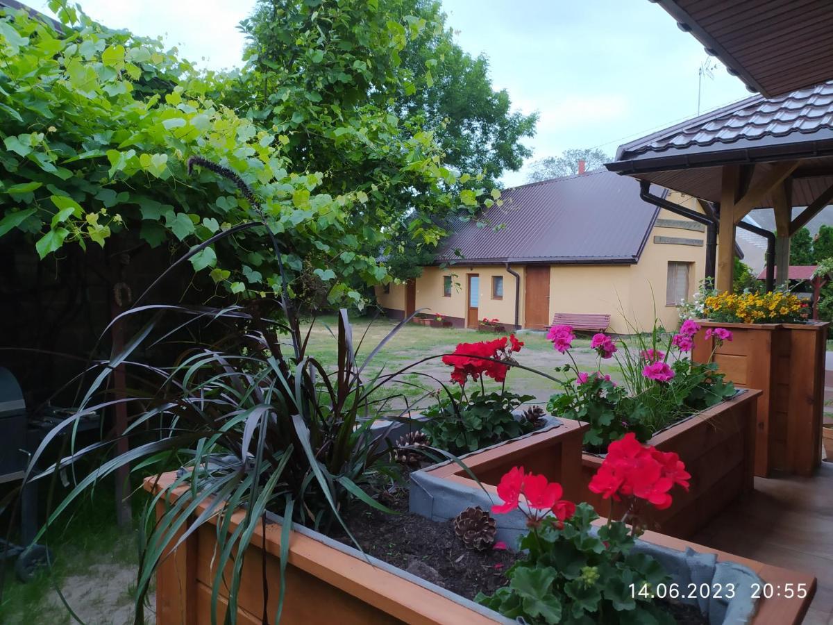 Dolistowka Apartamenty, Pole Namiotowe, Balia Z Jacuzzi, Ogrod Warzywny Dla Gosci, Plac Zabaw Dla Dzieci Alloggio in famiglia *